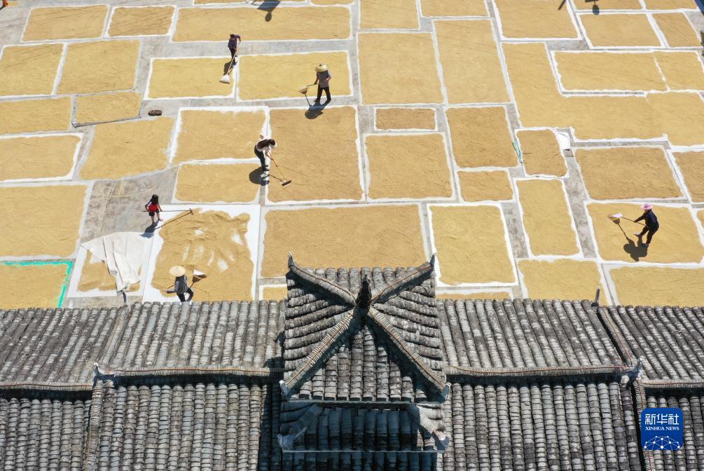 真人麻将2怎么看